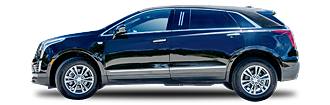 Executive8